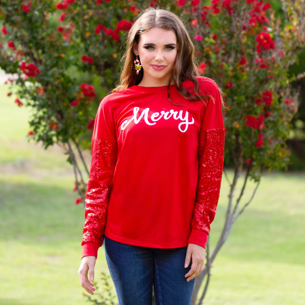 Merry Long Sleeve Top with Sequin Sleeves